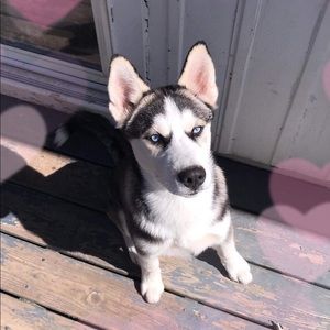 Meet your Posher, Jenna